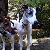 Karen Comer's photo