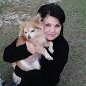 Heather Sikes's photo