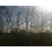 Foto von Luke Telford
