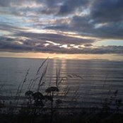 Cherryl Henry's photo
