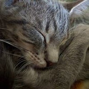 Foto von Kimberly Phillips