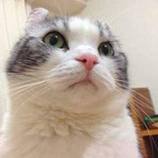 Linh Huỳnh's photo