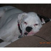 Terry Cornett's photo