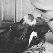 Teo Brancato's photo