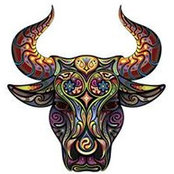Zarka Popovic's photo