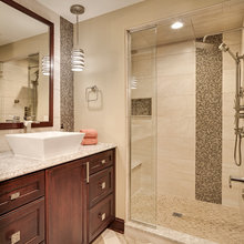 lower level bathroom