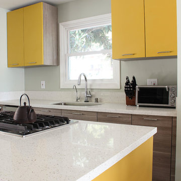 Compact & Vivid Contemporary Kitchen in Pasadena