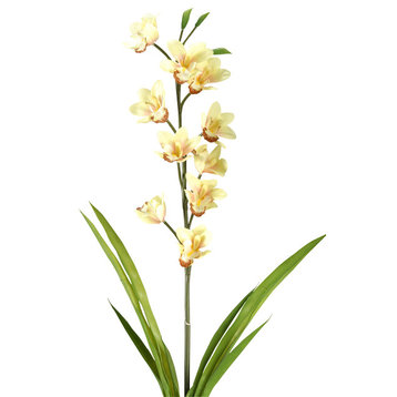 31" Cymbidium Orchid, Set of 3, Light Yellow