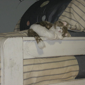 Bedroom for 6 year old twin boys.