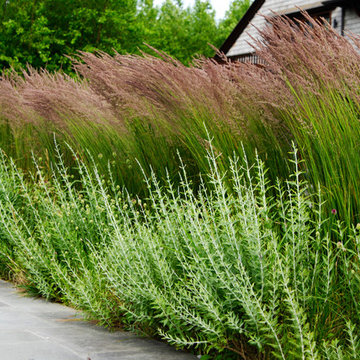 Plantings