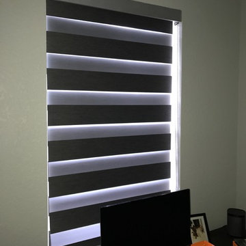 Zebra Illusion Shades - Wilton Manors, Florida
