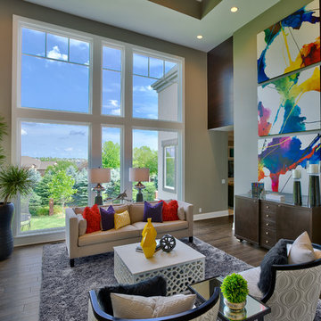 Vibrant Living Room Design