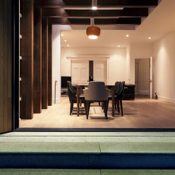 Morehampton Road: Remodel & Extension