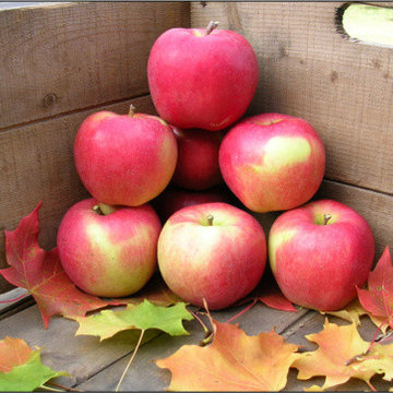 Permaculture/Farms