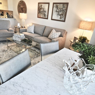Manhattan Apartment