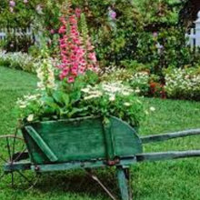How to Make Your Yard Look Beautiful this Spring