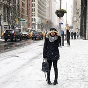 Cindy Kuo's photo