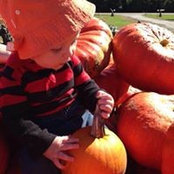 Emily Shireman's photo