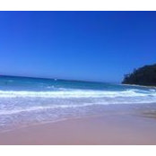 Sy Ang's photo