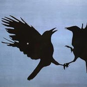 Piero Infante's photo