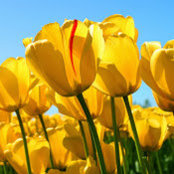 McKayla Florent's photo