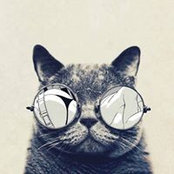 Foto de Tim Paddock
