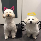 Stephanie Chenさんの写真