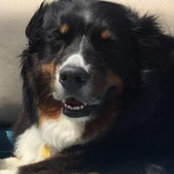 Lynn Hays's photo