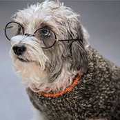 Lisa McLain's photo