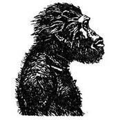 Alexander Maslovsky's photo