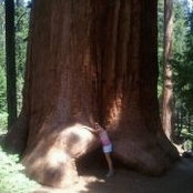Ashley Gill's photo