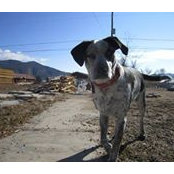 Kyle Buskist's photo