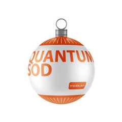Quantum Sod