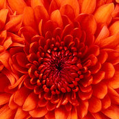 Isabel Garcia Miro's photo