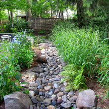 riverbed