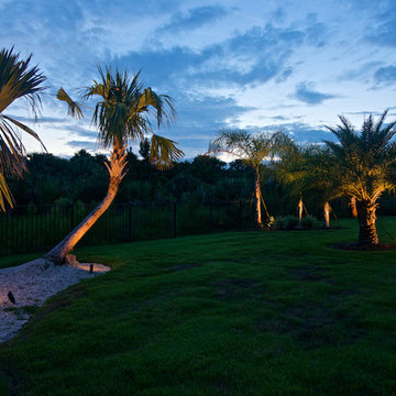 Ponte Vedra Remodel - Landscape Lighting