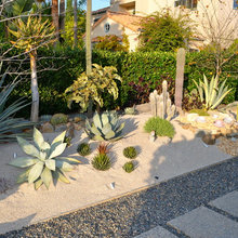 Landscape Ideas