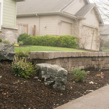 front yard