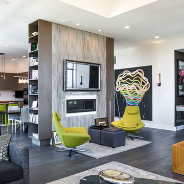 Chicago Lincoln Park Condo