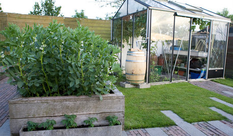 Hurra, es regnet! So nutzen Sie Regenwasser für Haus & Garten