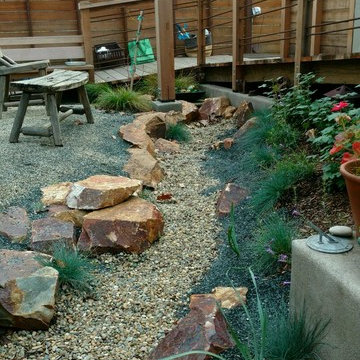 Berkeley Dry Creek