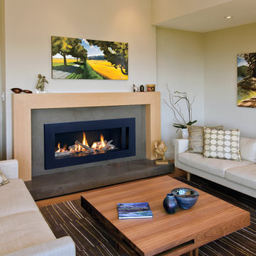 Gas Fireplaces