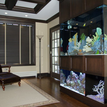A portfolio of custom aquariums from our 17+ year history.