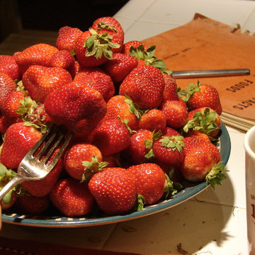 Permaculture/Farms