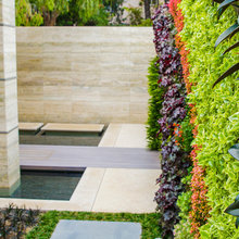Landscape Ideas