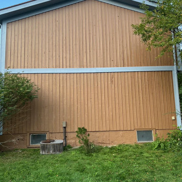 Whole House Paint
