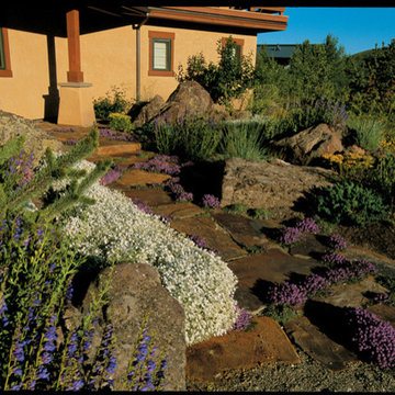 Water Conserving Gardens & Xeriscape