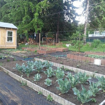 Enclosed Vegetable Garden with Raised Beds