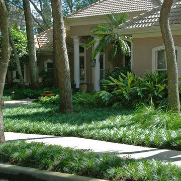 Zero Lawn Shady Garden