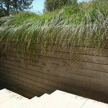 walls